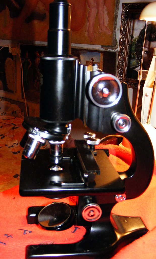 mikroskop 5