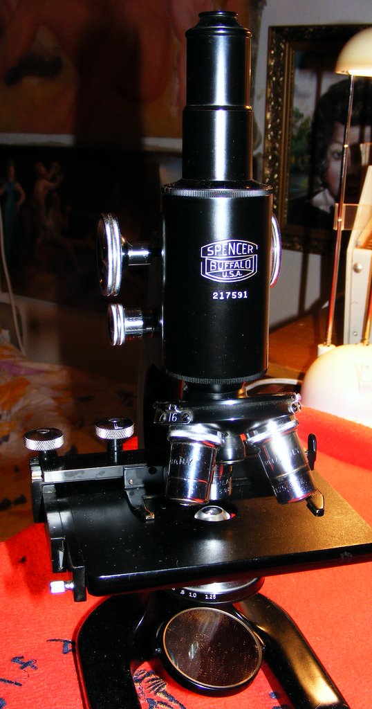 mikroskop detail 2